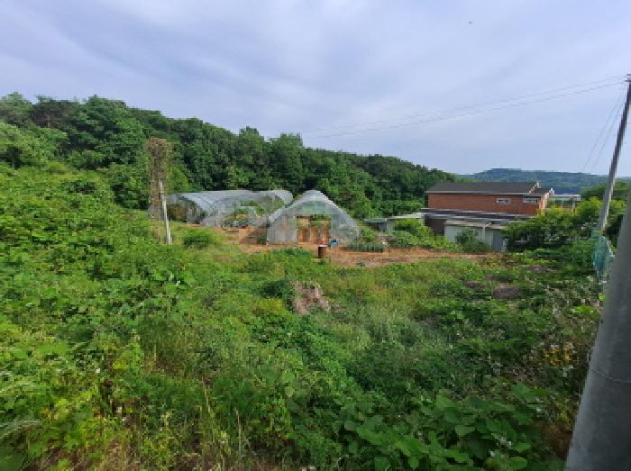 충청남도 당진시 송악읍 월곡리 353-18 외 3필지 전 경매 사진 27