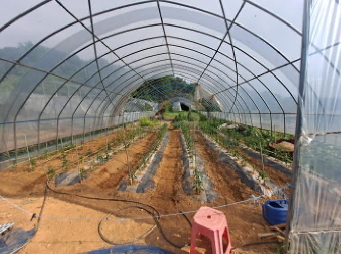 충청남도 당진시 송악읍 월곡리 353-18 외 3필지 전 경매 사진 29