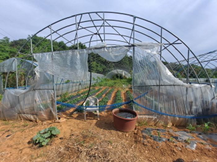 충청남도 당진시 송악읍 월곡리 353-18 외 3필지 전 경매 사진 30