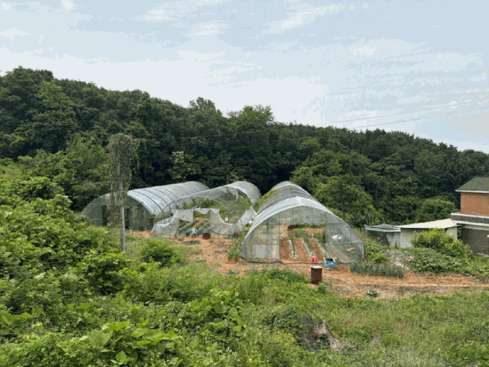 충청남도 당진시 송악읍 월곡리 353-18 외 3필지 전 경매 사진 34
