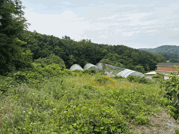 충청남도 당진시 송악읍 월곡리 353-18 외 3필지 전 경매 사진 36