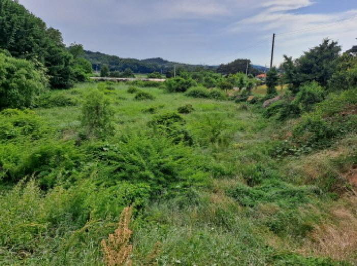 충청남도 당진시 송악읍 월곡리 353-18 외 3필지 전 경매 사진 5