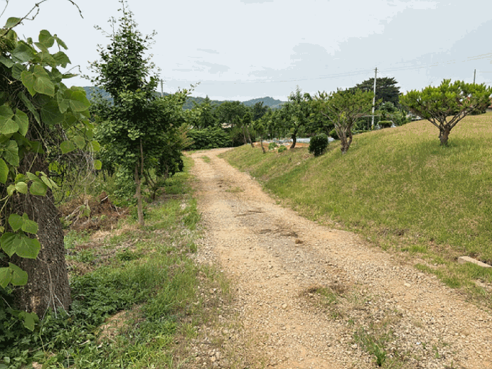 충청남도 당진시 송악읍 월곡리 353-18 외 3필지 전 경매 사진 43
