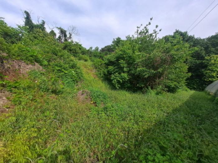 충청남도 당진시 송악읍 월곡리 353-18 외 3필지 전 경매 사진 9