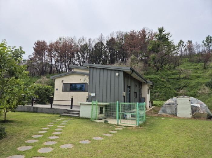 경상북도 영덕군 영덕읍 매정리 917 외 1필지 단독주택 경매 사진 2