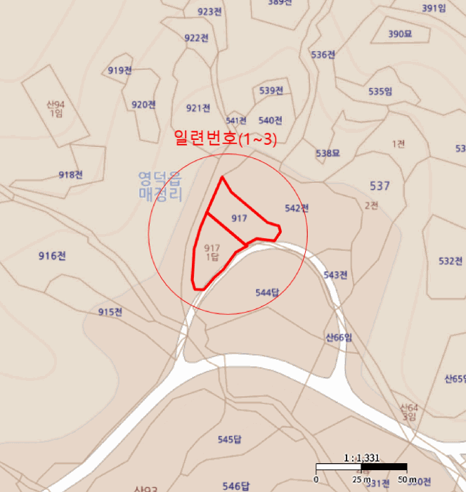 경상북도 영덕군 영덕읍 매정리 917 외 1필지 단독주택 경매 사진 11
