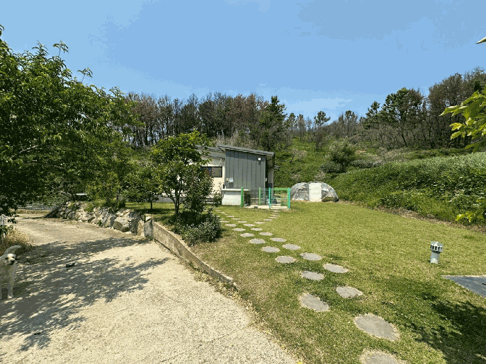 경상북도 영덕군 영덕읍 매정리 917 외 1필지 단독주택 경매 사진 3