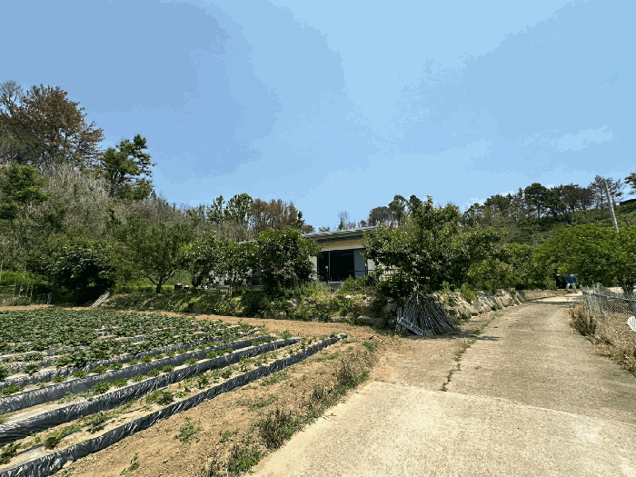경상북도 영덕군 영덕읍 매정리 917 외 1필지 단독주택 경매 사진 5