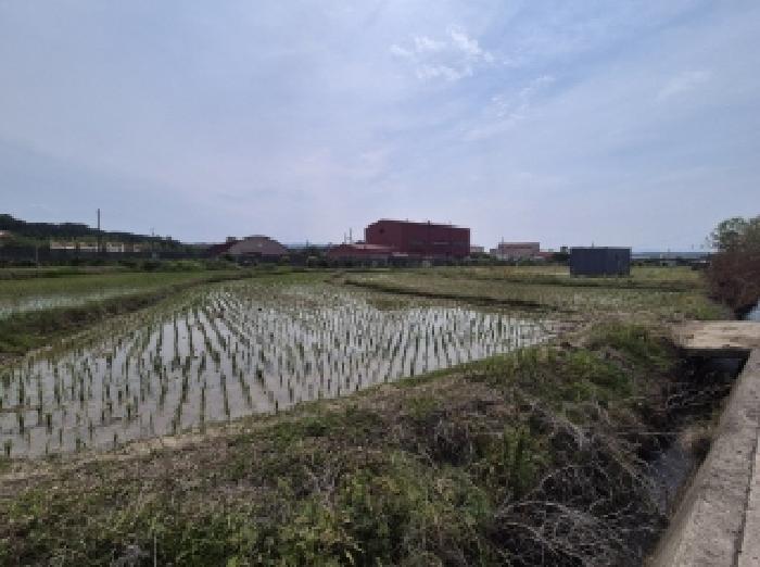 경상북도 포항시 남구 오천읍 세계리 641-2 외 1필지 답 경매 사진 3