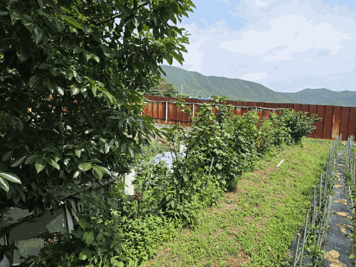 경상남도 양산시 소주동 1020-120 대지 경매 사진 26