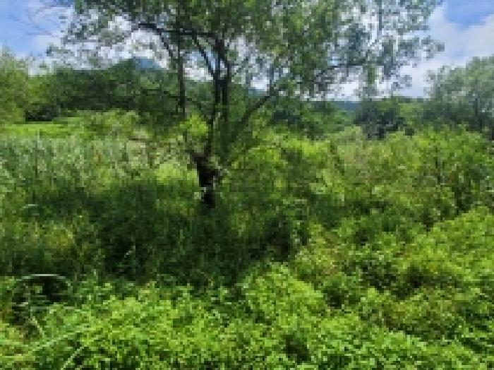 경상남도 거제시 둔덕면 학산리 88-1 답 경매 사진 13