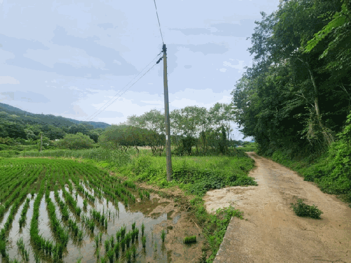 경상남도 거제시 둔덕면 학산리 88-1 답 경매 사진 16
