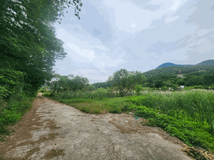 경상남도 거제시 둔덕면 학산리 88-1 답 경매 사진 18