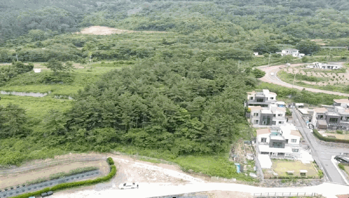 경상남도 거제시 사등면 사등리 산54-8 임야 경매 사진 23