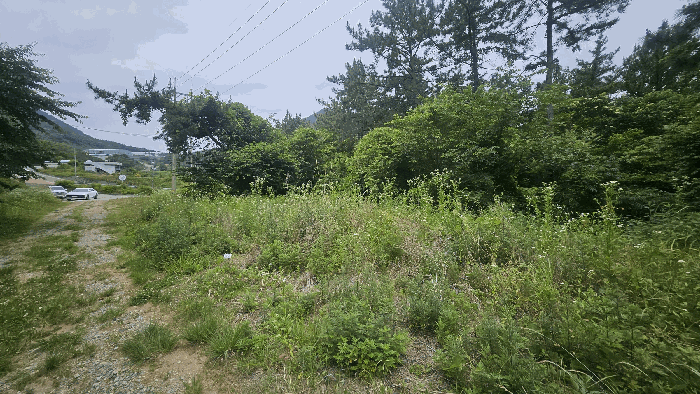 경상남도 거제시 사등면 사등리 산54-8 임야 경매 사진 24