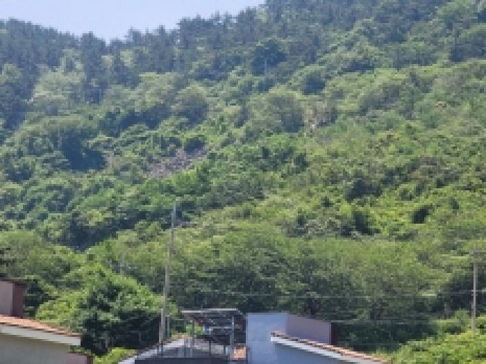 경상남도 거제시 사등면 사등리 산54-8 임야 경매 사진 15