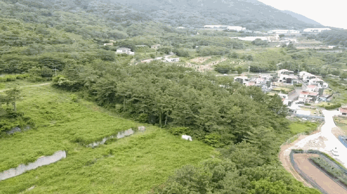 경상남도 거제시 사등면 사등리 산54-8 임야 경매 사진 20