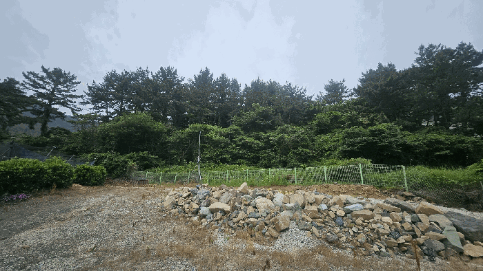 경상남도 거제시 사등면 사등리 산54-8 임야 경매 사진 21