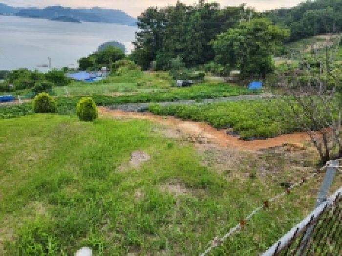 전라남도 여수시 화양면 이목리 615-1 외 2필지 전 경매 사진 3