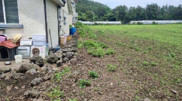 제주특별자치도 서귀포시 표선면 표선리 2265-1 외 1필지 전 경매 사진 1