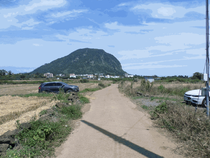 제주특별자치도 서귀포시 안덕면 사계리 1211-3 외 2필지 전 경매 사진 11