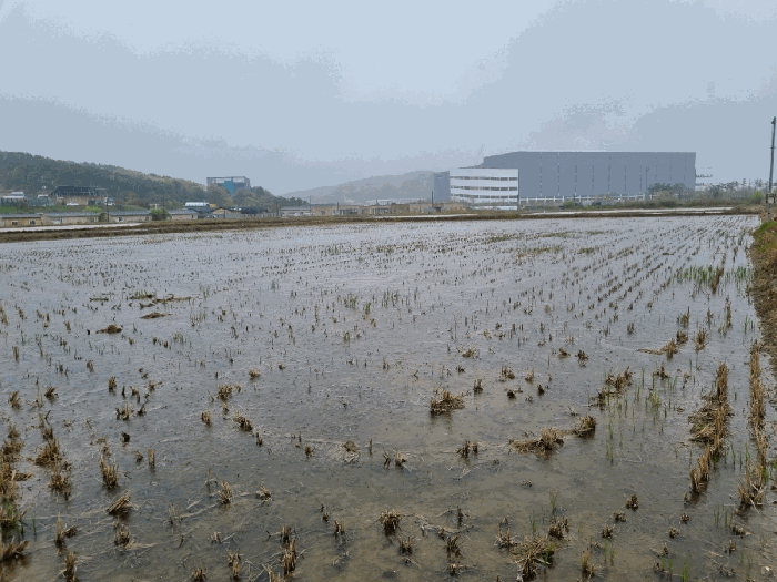 인천광역시 중구 운북동 789-360 답 경매 사진 14