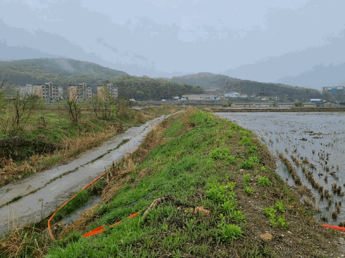 인천광역시 중구 운북동 789-360 답 경매 사진 15