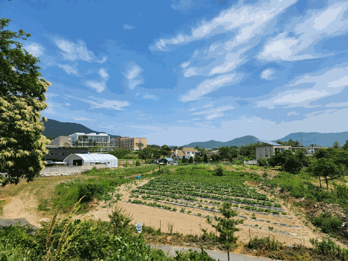 경기도 용인시 처인구 원삼면 사암리 27-3 외 3필지 답 경매 사진 5