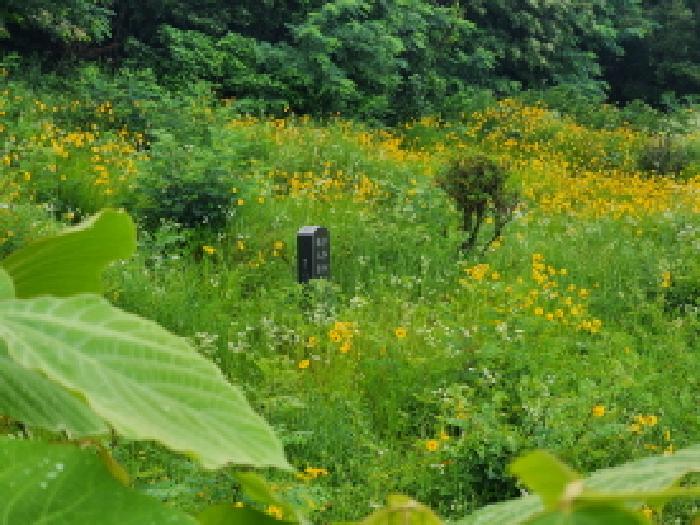 경기도 화성시 남양읍 안석리 산82 임야 경매 사진 1