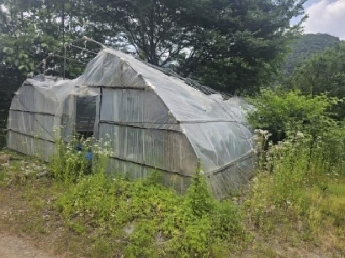충청북도 단양군 영춘면 동대리 722-3 외 5필지 단독주택 경매 사진 3
