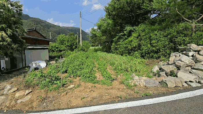 충청북도 단양군 영춘면 동대리 722-3 외 5필지 단독주택 경매 사진 31