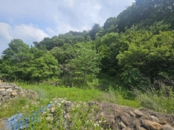 충청북도 단양군 영춘면 동대리 722-3 외 5필지 단독주택 경매 사진 9