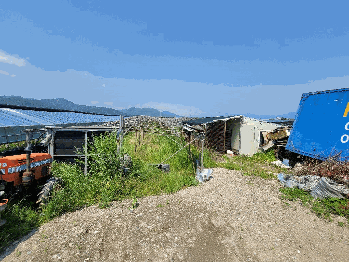 부산광역시 강서구 강동동 498-5 답 경매 사진 19