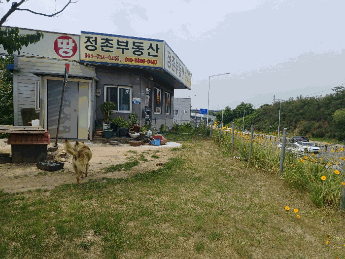 경상남도 진주시 정촌면 화개리 1754-52 상가 경매 사진 17