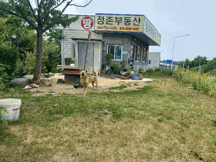 경상남도 진주시 정촌면 화개리 1754-52 상가 경매 사진 22