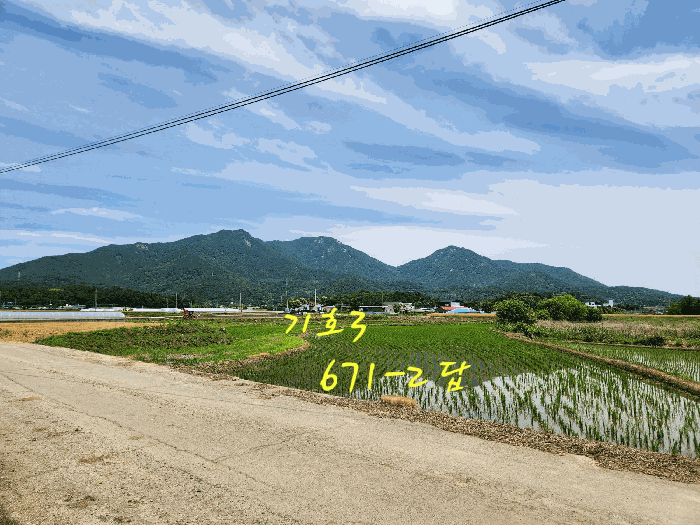 경상남도 사천시 노룡동 671-2 답 경매 사진 2
