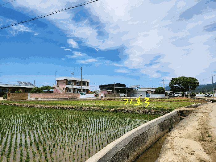 경상남도 사천시 노룡동 671-2 답 경매 사진 4