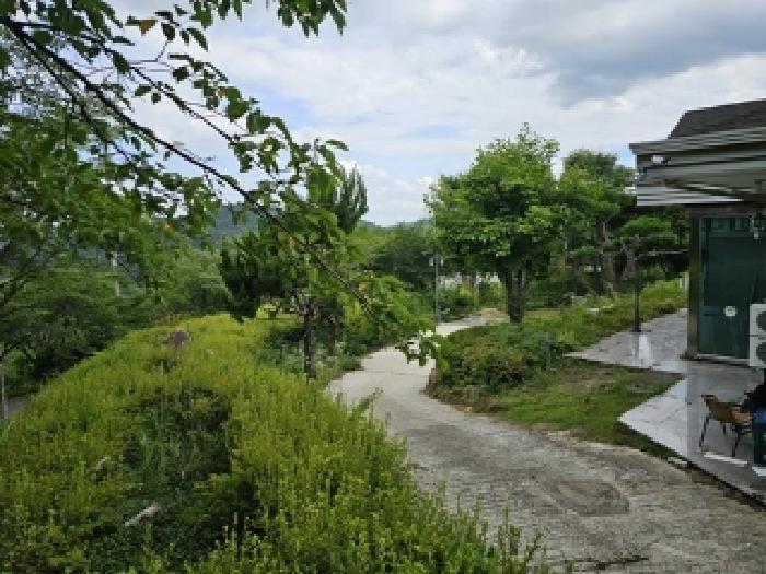 경상남도 산청군 단성면 방목리 산100 외 14필지 근린생활시설 경매 사진 2