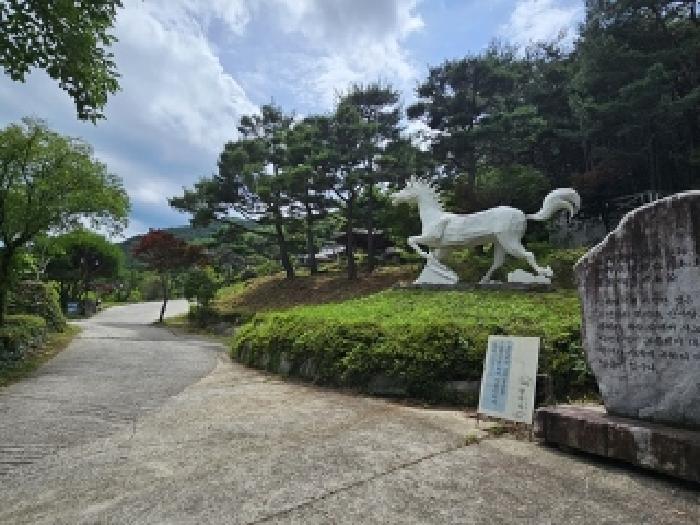 경상남도 산청군 단성면 방목리 산100 외 14필지 근린생활시설 경매 사진 18