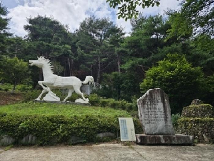 경상남도 산청군 단성면 방목리 산100 외 14필지 근린생활시설 경매 사진 19