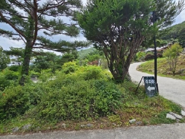 경상남도 산청군 단성면 방목리 산100 외 14필지 근린생활시설 경매 사진 25