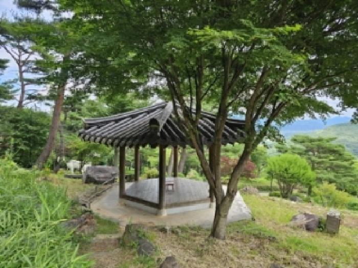 경상남도 산청군 단성면 방목리 산100 외 14필지 근린생활시설 경매 사진 36
