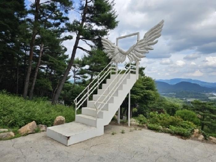 경상남도 산청군 단성면 방목리 산100 외 14필지 근린생활시설 경매 사진 37