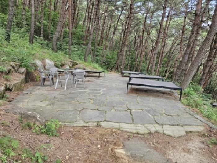 경상남도 산청군 단성면 방목리 산100 외 14필지 근린생활시설 경매 사진 38