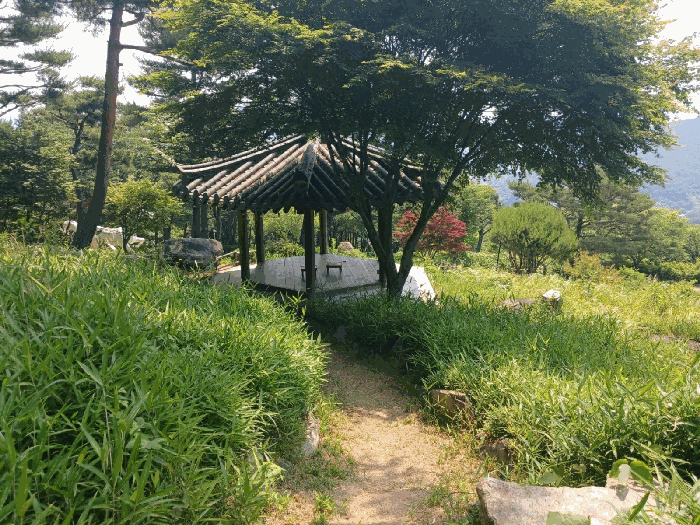 경상남도 산청군 단성면 방목리 산100 외 14필지 근린생활시설 경매 사진 84