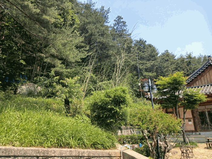 경상남도 산청군 단성면 방목리 산100 외 14필지 근린생활시설 경매 사진 88