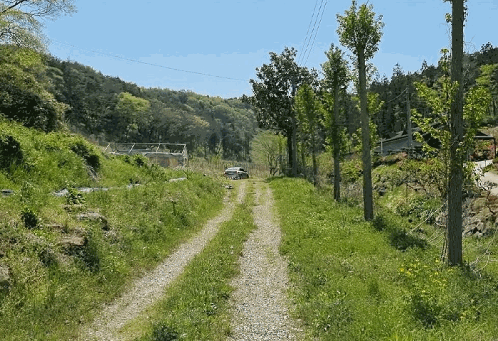 전라남도 함평군 나산면 수상리 60 전 경매 사진 2