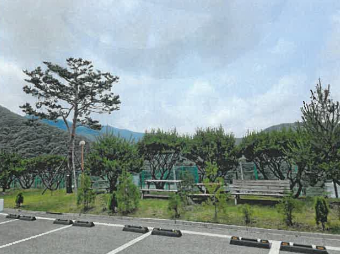 충청북도 괴산군 청천면 사담리 43-39 외 9필지 숙박시설 경매 사진 12