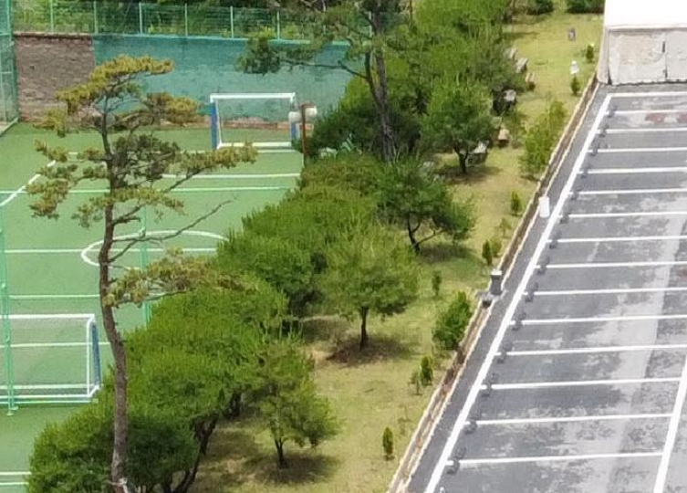 충청북도 괴산군 청천면 사담리 43-39 외 9필지 숙박시설 경매 사진 17