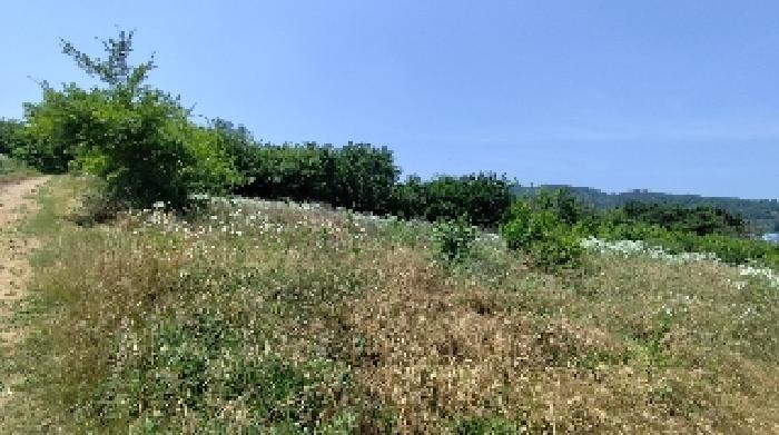 충청남도 홍성군 광천읍 신진리 355-3 전 경매 사진 2
